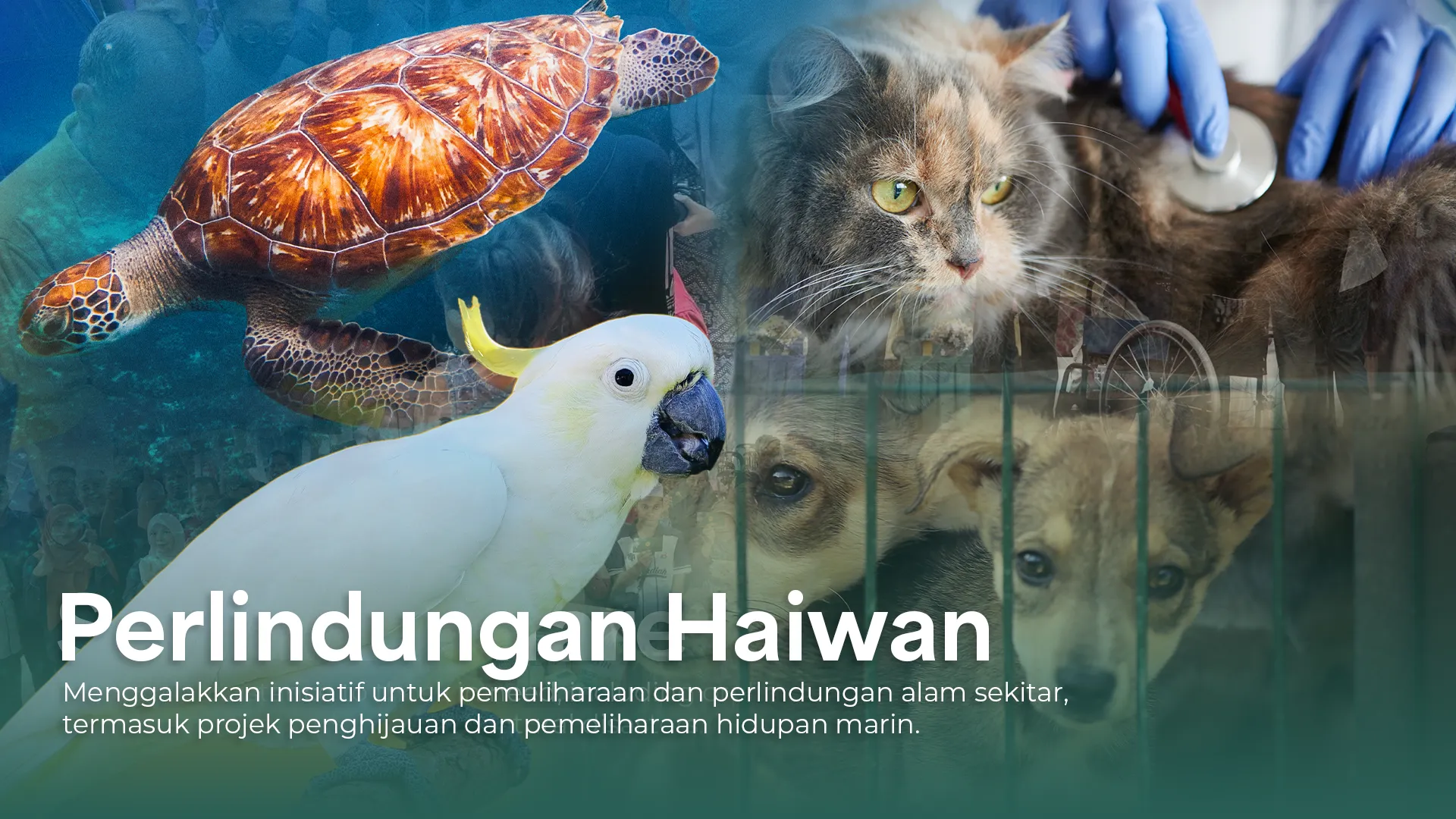 WEBSITE TASK HAIWAN